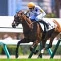 【札幌5R新馬戦結果】ビッグアーサー産駒ツキミが人気に応えて快勝