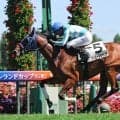 「只者では無い」「富豪感が強いｗ」伏兵でＪＲＡ初勝利を飾ったインド人のナレドゥ騎手にネット称賛