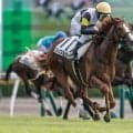 【新潟3R新馬戦結果】ジップスパークが好位から抜け出し快勝！