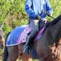【ブリーダーズＧＣ】重賞連勝を狙うペンダントは７枠８番　地元ホッカイドウのゼロアワーは２枠２番　枠順確定