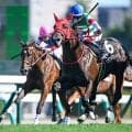【クローバー賞結果】ブルージェイが追い比べを制してデビュー2連勝