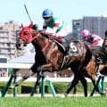 【札幌９Ｒ・クローバー賞】２番人気ブルージェイが連勝　鮫島克駿騎手「馬を信じて乗って、いい内容で勝ってくれた」