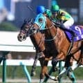 【JRA・WIN5】本日のWIN5は的中111票、配当243万4420円