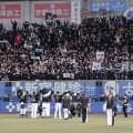 「どんだけかわいい」サヨナラ勝利の“立役者”と話題　スタンドにいた美女に興奮「勝利の女神」