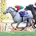 【ＷＡＳＪ】第２戦は横山典弘騎手がキャントウェイトで勝利　第１戦の武豊騎手に続きベテラン大活躍