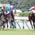 【新潟７Ｒ・朱鷺Ｓ】ショウナンザナドゥが大激戦制し１年５か月ぶりＶ　吉田豊騎手「ブリンカーも効いている」