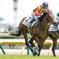 【新潟2歳S予想】小柄な馬の取り扱いには要注意!? 前走のパフォーマンスを鵜呑みできない人気の一角とは