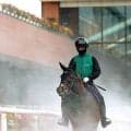 【キーンランドＣ】断トツ人気はパンジャタワー　３連勝中の３歳馬が単勝７・０倍２番人気　前日最終オッズ