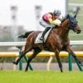 【新潟2歳S前日オッズ】レッチュベルクが3.0倍で1番人気