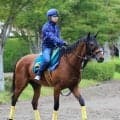 【新潟２歳Ｓ】前日最終オッズの単勝１番人気は初陣完勝レッチュベルク　１０頭立てで５頭が１０倍切る