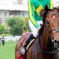 【シティオブヨークＳ】ゴール前失速のサトノレーヴは馬群に沈む　海外８戦目も欧州の強豪の高い壁