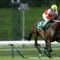 【盛岡・ジュニアグランプリ見どころ】若鮎賞覇者セイカールトンが重賞連勝へ…芝で一変ベストプラージュ、遠征勢も参戦