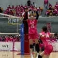 【バレー】アルテミス北海道・長尾のどか、エスコンＦで初の野球観戦は迫力満点でした