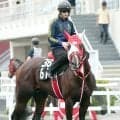 【２３日の注目・札幌１２Ｒ】テルヒコウは話題の美人ジョッキーと新コンビ　「とまどい」感じることなく３勝目狙う