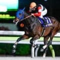 【今日の注目ポイント】キーンランドCと新潟2歳S 米パシフィッククラシックSにフィンガー出走