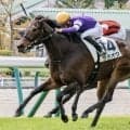 JRAで現役唯一のエタリオウ産駒 ララオウが2勝目狙う