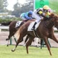 【新潟３Ｒ・２歳新馬】半姉が今年の桜花賞３着、ジップスパークが断然人気に応えて初陣Ｖ　田辺裕信騎手「期待していました」