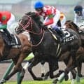 「GLAY」のTERUが名付け親 テルヒコウが3勝目なるか