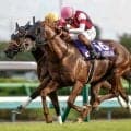【キーンランドC予想】サマースプリントシリーズ第5戦 札幌芝1200mは長く使える末脚がカギ