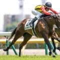 【新潟2歳S予想】世代最初のマイル重賞 新潟の長い直線勝負と未勝利馬の取捨がカギ