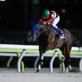 【米・パシフィッククラシックS結果】ナイツブリッジが圧勝 フィンガーは11着