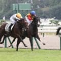 【新潟２Ｒ・２歳新馬】重賞２勝の母を持つタイヴァスが押し切りＶ　坂井瑠星騎手「いろいろ競馬を覚えていってくれれば」