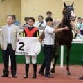 【中京２Ｒ・２歳新馬】キトゥンズクラフトが１番人気に応える　吉村誠之助騎手「これからもっと良くなってくる」