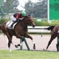 【新潟３Ｒ・２歳新馬】西山オーナーの退院祝い！「いい報告ができそう」と吉田豊騎手　１１番人気セイウンシャラ逃げ切りＶ