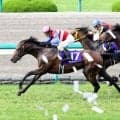 ナカヤマフェスタ死す...衰弱による起立不全で　１０年凱旋門賞で２着　うらかわ優駿ビレッジＡＥＲＵが発表