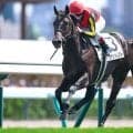 【札幌5R新馬戦結果】コントレイル産駒ヴァンドレストが人気に応えて快勝