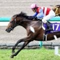 「言葉が出ない...」「早すぎんだよぉ」突然の別れにネット悲痛の声　１０年凱旋門賞２着ナカヤマフェスタ天国へ