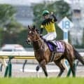 【キーンランドC・馬体重】パンジャタワーは494kg(+6)、ロジケープは500kg(+2)