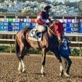 【米パシフィッククラシック】戸崎圭太フィンガーは11着最下位…3角から大きく後退