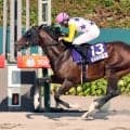 【ＷＡＳＪ】第３戦は岩田望来騎手の伏兵マーシヴィガラスがＶ　武豊騎手が首位５１ポイントで第４戦へ