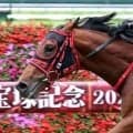 ４コーナーで突然の異変にネット騒然「二度見したわ」「オルフェした？」　新潟２歳Ｓ出走のインカルナータ