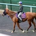 【キーンランドＣ】３番人気ウインカーネリアンは３着　９年ぶり９歳馬のＪＲＡ平地重賞Ｖならずも大ベテランが存在感