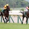 【新潟２歳Ｓ】レッチュベルクが２連勝で重賞初Ｖ　田辺裕信騎手は１１年ぶり２度目の勝利