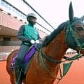 【キーンランドＣ】勝利が遠い１番人気のパンジャタワー　２着でレース史上初の連覇ならず