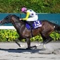 【JRA・WIN5】2レース目の12番人気Vで的中7票、配当は6986万4960円