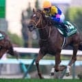 【キーンランドC結果】武豊騎手騎乗のサウンドモリアーナがGI馬2頭を退け重賞初制覇！