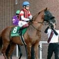 【キーンランドＣ】３番人気ウインカーネリアンは３着　９年ぶり９歳馬のＪＲＡ平地重賞Ｖならずも大ベテランが存在感