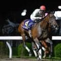 【門別・ブリーダーズGC枠順】関東オークス覇者のペンダントは7枠8番
