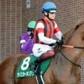 「ヤバ過ぎだろ」「連覇しちゃう？」５９キロで３着激走の９歳馬にＳＮＳ脱帽　ウインカーネリアンが昨年より前進