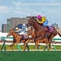 サマー２０００シリーズ優勝は該当馬なし　最近１０年で５度目の王者不在　新潟記念に逆転の可能性ある馬の登録なし