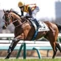 【新潟記念】ロデオドライブ、ゾロアストロなどが登録
