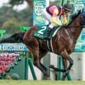 【新潟2歳S結果】レッチュベルクが内から抜け出し無傷2連勝で重賞V