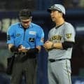 【阪神】高橋遥人が交錯アクシデントも藤川監督「状態も回復。問題ないかな」大事至らず一安心