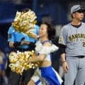 【阪神】「練習の時から結束力非常に高く、チームとしてできてますから」藤川監督たたえる一丸の１勝