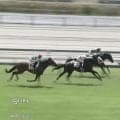 「本当にそっくり」“怪物似”連日の新馬Vにファン歓喜「嬉しすぎ」「今日もオルフェっ子！」
