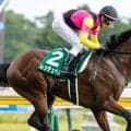 【新潟2歳S】田辺「オープンにいっても恥ずかしくない馬」レッチュベルクが無傷2連勝